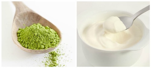 Bột trà xanh và sữa chua không thể thiếu trong công cuộc làm đẹp này Bột trà xanh và sữa chua không thể thiếu trong công cuộc làm đẹp này