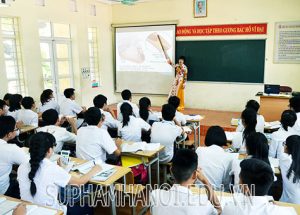 Giáo viên tiểu học không được dạy thêm dưới bất kỳ hình thức nào?